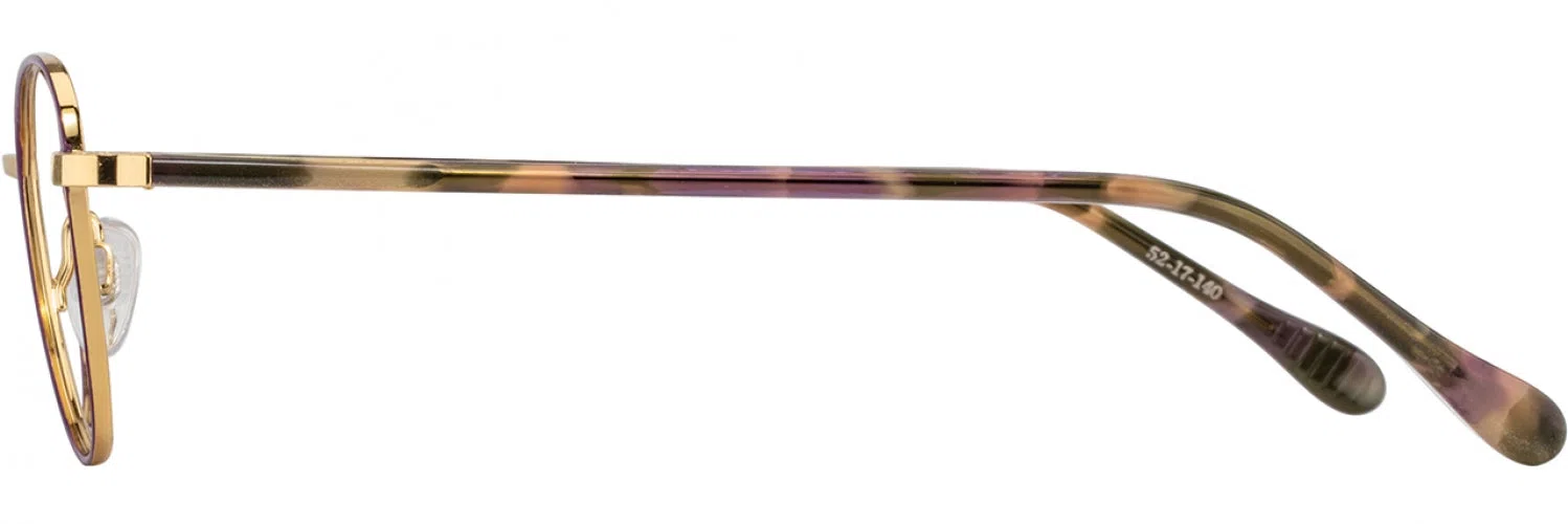 Alan J AJ526 Eyeglasses - view 5
